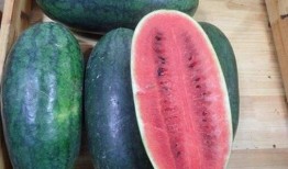 51网红黑料 吃瓜大世界最新版下载,吃瓜大世界最新版下载，一网打尽热门事件